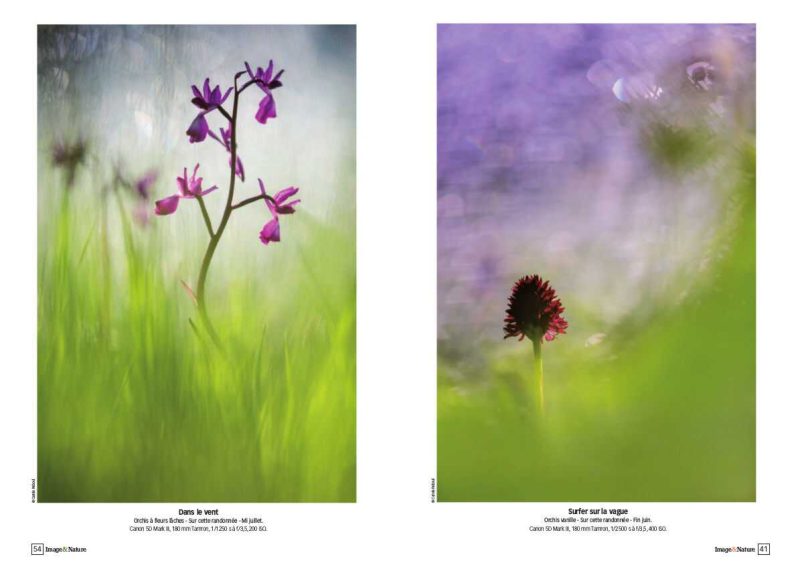 carole reboul publication