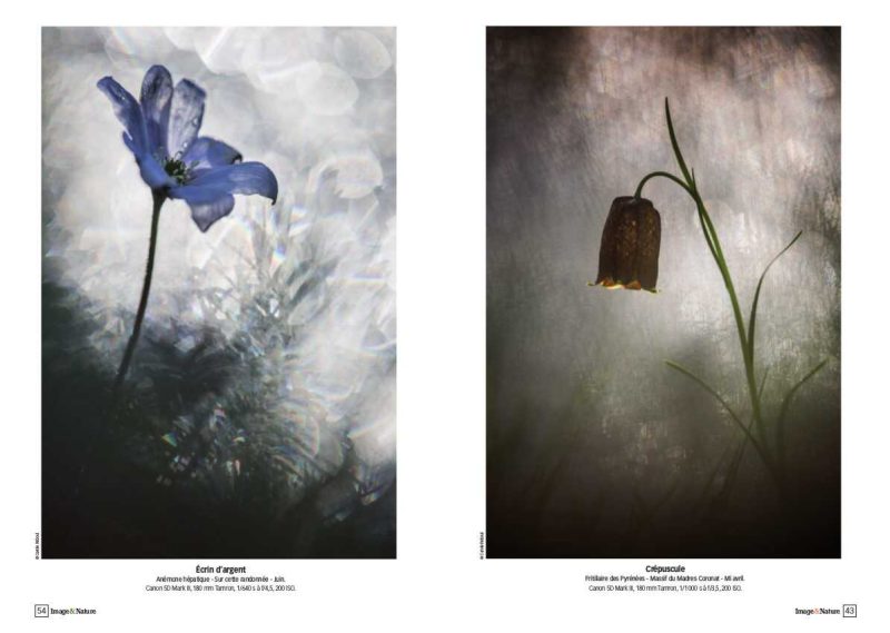 carole reboul publication