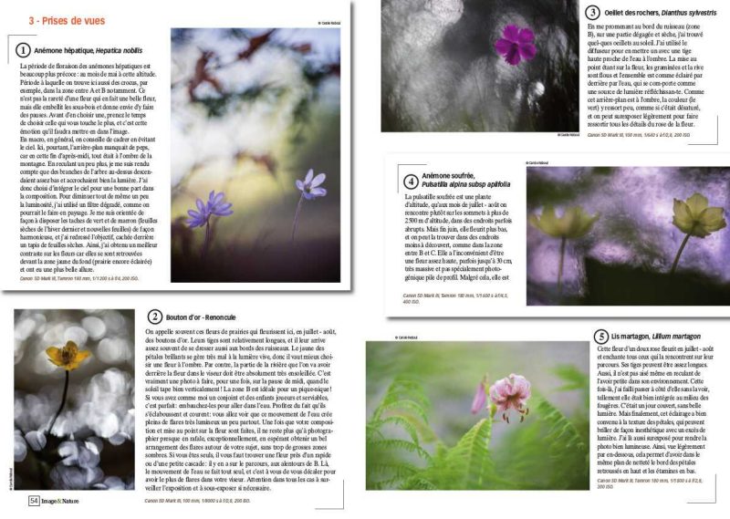 carole reboul publication