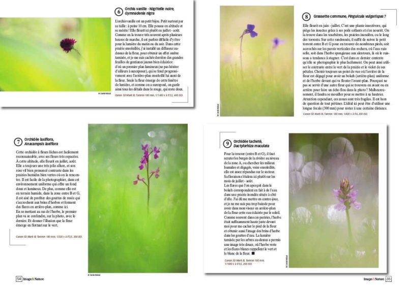 carole reboul publication