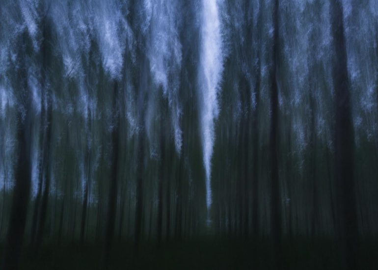 Flou 11 - Série Forêts émotives par Carole Reboul