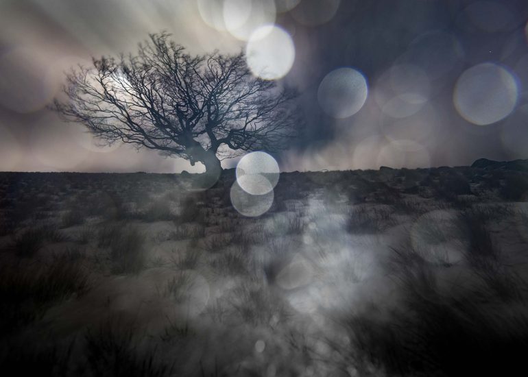 carole reboul paysage reve nuit magie