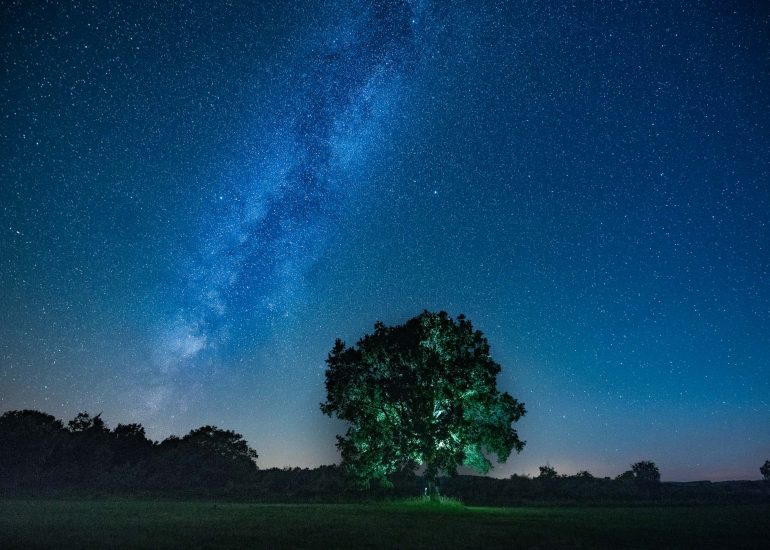 Arbre sur le Larzac - Série Paysages nocturnes de Carole Reboul