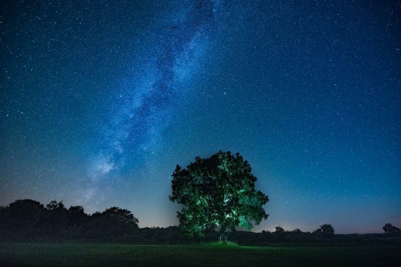 Arbre sur le Larzac - Série Paysages nocturnes de Carole Reboul