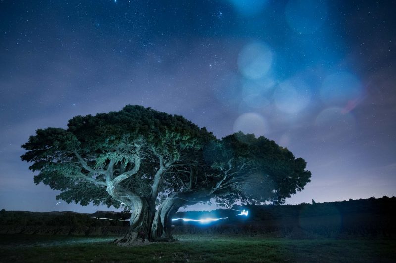carole reboul paysage reve nuit magie