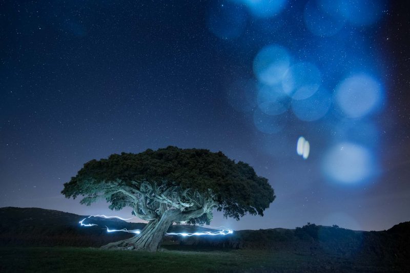 carole reboul paysage reve nuit magie