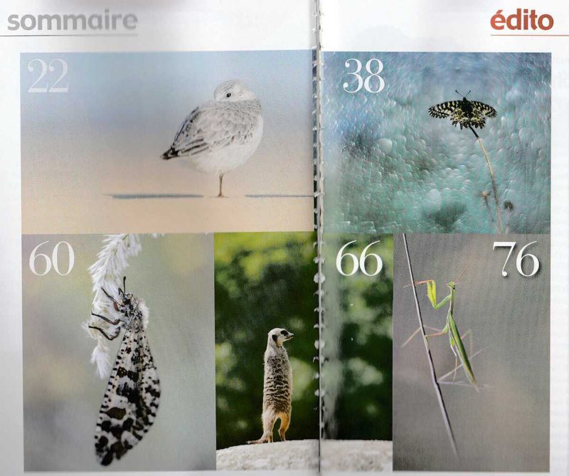 carole reboul publication macro