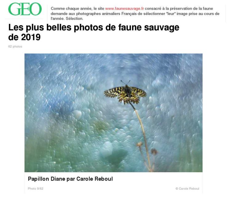 carole reboul papillon macro geo selection