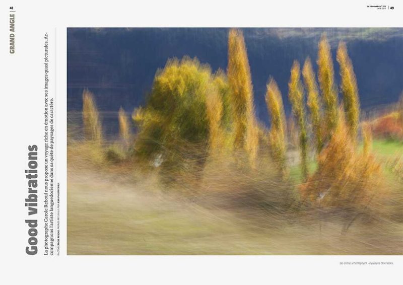 carole reboul publication flou salamandre