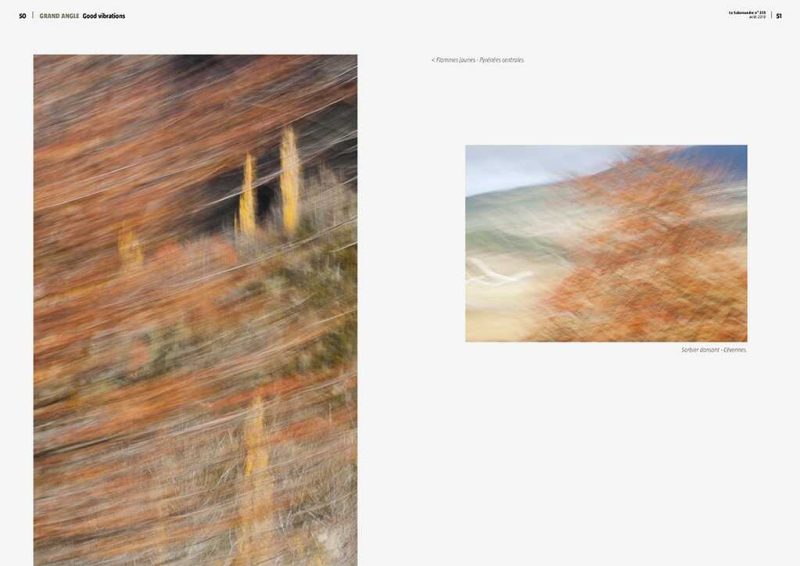 carole reboul publication flou salamandre