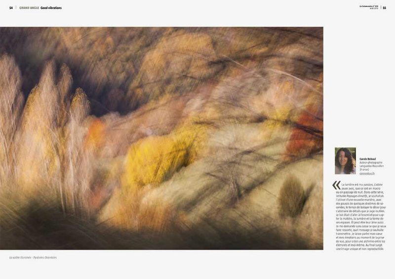 carole reboul publication flou salamandre