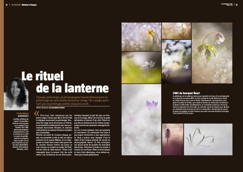 carole reboul publication flou salamandre