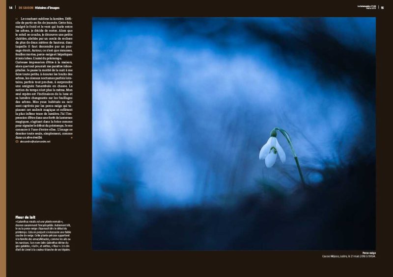 carole reboul publication flou salamandre