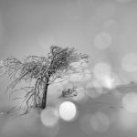 Glacial - Série Night and White # 13