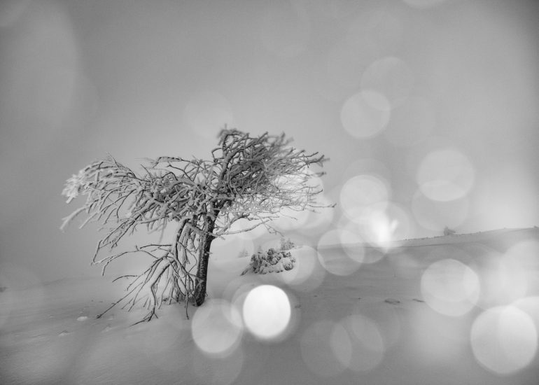 Glacial - Série Night and White # 13